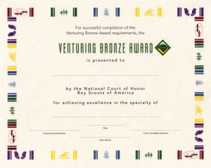 Bronze Award Certificate