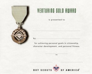 Gold Award Certificate