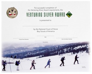 Silver Award Certificate