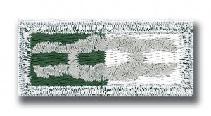 Silver Award Knot