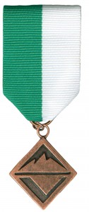 Bronze Award